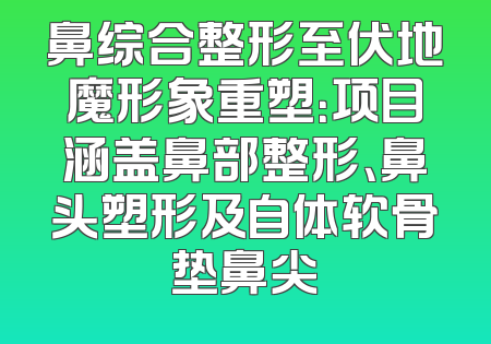 鼻综合整形至伏地魔形象重塑：项目涵盖鼻部整形、鼻头塑形及自体软骨垫鼻尖