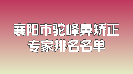 襄阳市驼峰鼻矫正专家排名名单