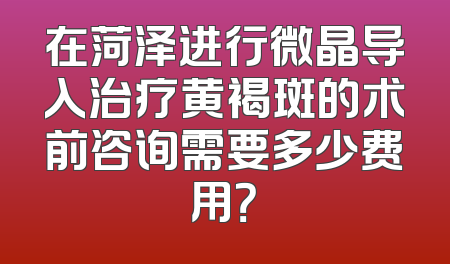在菏泽进行微晶导入治疗黄褐斑的术前咨询需要多少费用？
