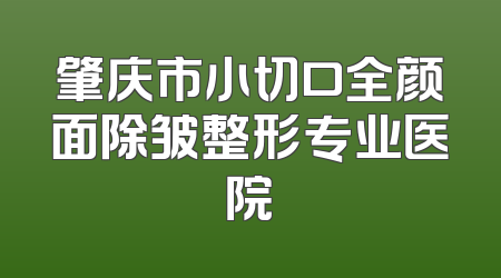 肇庆市小切口全颜面除皱整形专业医院