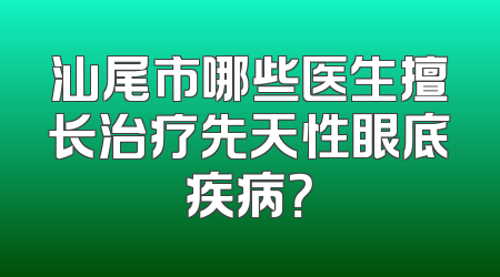 汕尾市哪些医生擅长治疗先天性眼底疾病？