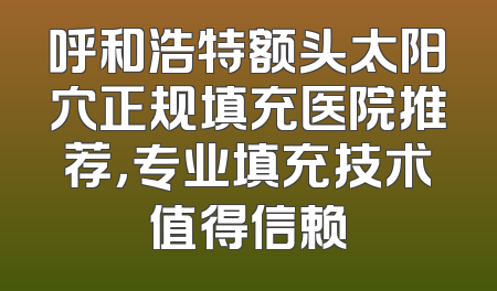 呼和浩特额头太阳穴正规填充医院推荐，专业填充技术值得信赖