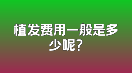 植发费用一般是多少呢？