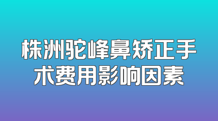 株洲驼峰鼻矫正手术费用影响因素