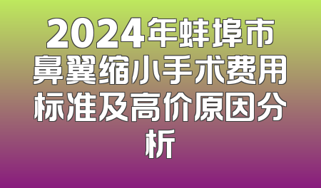 2024年蚌埠市鼻翼缩小手术费用标准及高价原因分析