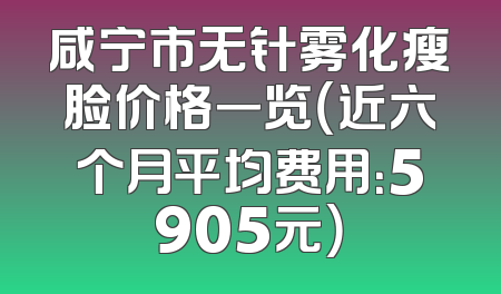 咸宁市无针雾化瘦脸价格一览（近六个月平均费用：5905元）