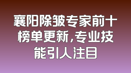 襄阳除皱专家前十榜单更新，专业技能引人注目