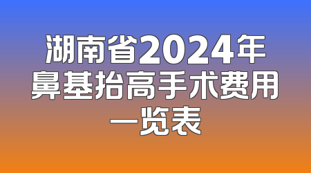 湖南省2024年鼻基抬高手术费用一览表