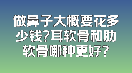 做鼻子大概要花多少钱？耳软骨和肋软骨哪种更好？