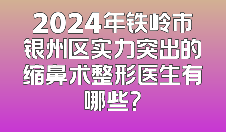 2024年铁岭市银州区实力突出的缩鼻术整形医生有哪些？