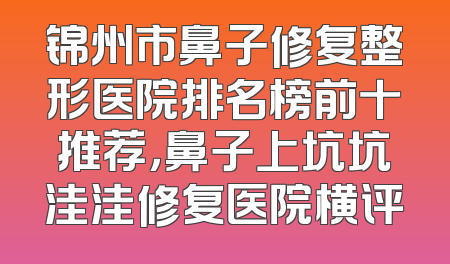 锦州市鼻子修复整形医院排名榜前十推荐，鼻子上坑坑洼洼修复医院横评
