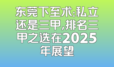 东莞下至术：私立还是三甲，排名三甲之选在2025年展望