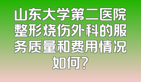 山东大学第二医院整形烧伤外科的服务质量和费用情况如何？