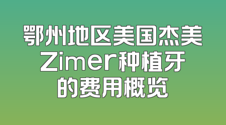 鄂州地区美国杰美Zimer种植牙的费用概览