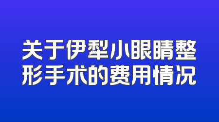 关于伊犁小眼睛整形手术的费用情况