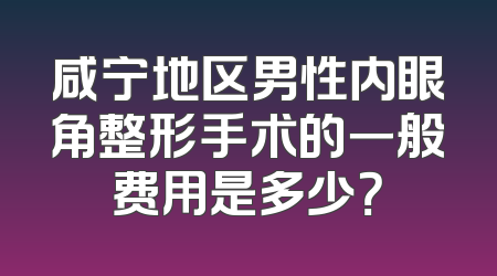 咸宁地区男性内眼角整形手术的一般费用是多少？