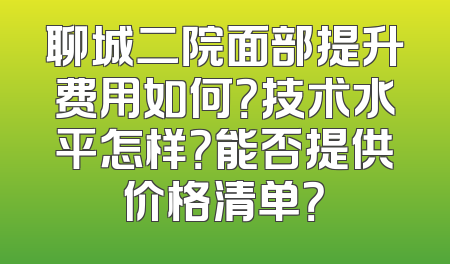 聊城二院面部提升费用如何？技术水平怎样？能否提供价格清单？