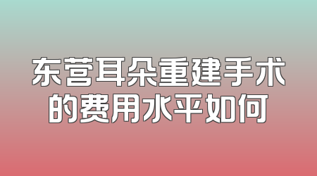 东营耳朵重建手术的费用水平如何
