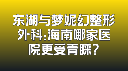 东湖与梦妮幻整形外科：海南哪家医院更受青睐？