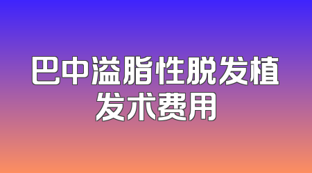 巴中溢脂性脱发植发术费用