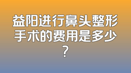 益阳进行鼻头整形手术的费用是多少？