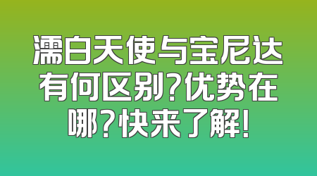 濡白天使与宝尼达有何区别？优势在哪？快来了解！