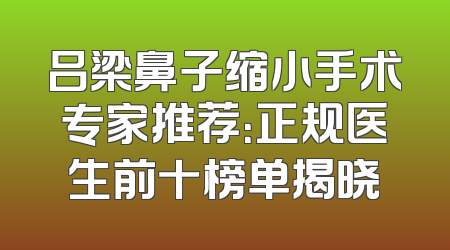 吕梁鼻子缩小手术专家推荐：正规医生前十榜单揭晓