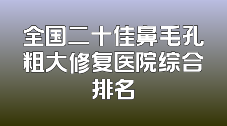 全国二十佳鼻毛孔粗大修复医院综合排名