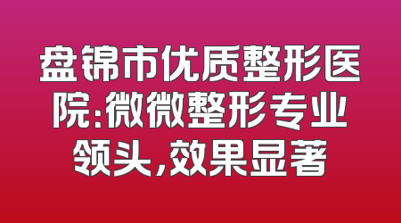 盘锦市优质整形医院：微微整形专业领头，效果显著