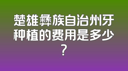 楚雄彝族自治州牙种植的费用是多少？