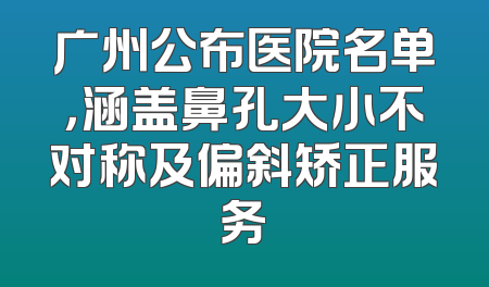 广州公布医院名单，涵盖鼻孔大小不对称及偏斜矫正服务