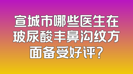 宣城市哪些医生在玻尿酸丰鼻沟纹方面备受好评？