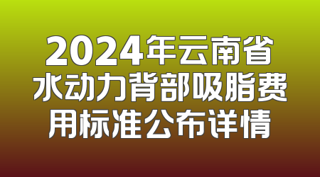 2024年云南省水动力背部吸脂费用标准公布详情