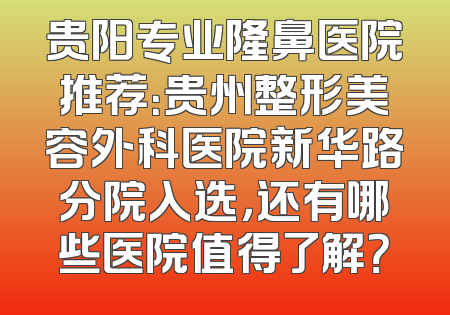 贵阳专业隆鼻医院推荐：贵州整形美容外科医院新华路分院入选，还有哪些医院值得了解？