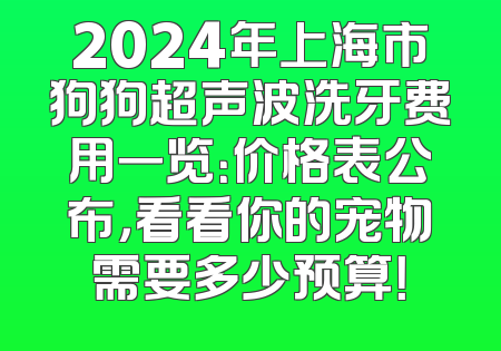 2024年上海市狗狗超声波洗牙费用一览：价格表公布，看看你的宠物需要多少预算！