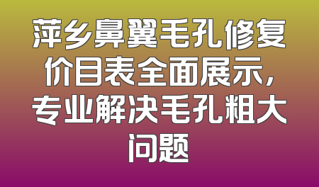萍乡鼻翼毛孔修复价目表全面展示，专业解决毛孔粗大问题