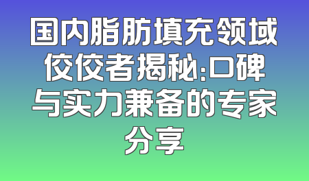 国内脂肪填充领域佼佼者揭秘：口碑与实力兼备的专家分享