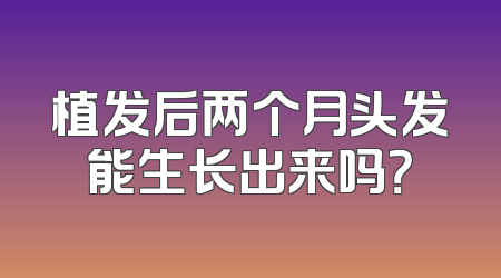 植发后两个月头发能生长出来吗？
