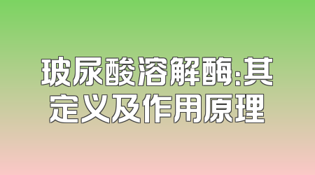 玻尿酸溶解酶：其定义及作用原理