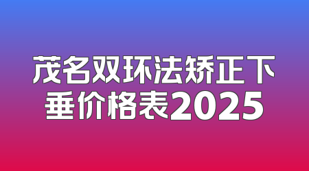 茂名双环法矫正下垂价格表2025