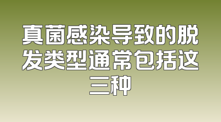 真菌感染导致的脱发类型通常包括这三种