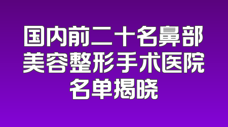 国内前二十名鼻部美容整形手术医院名单揭晓