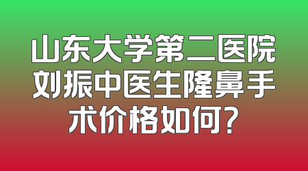 山东大学第二医院刘振中医生隆鼻手术价格如何？