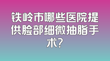 铁岭市哪些医院提供脸部细微抽脂手术？