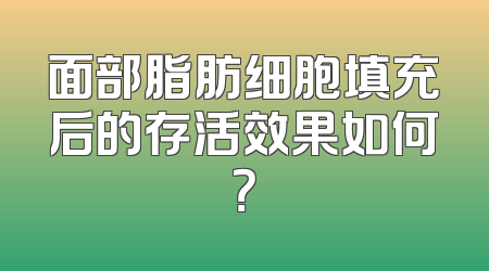 面部脂肪细胞填充后的存活效果如何？