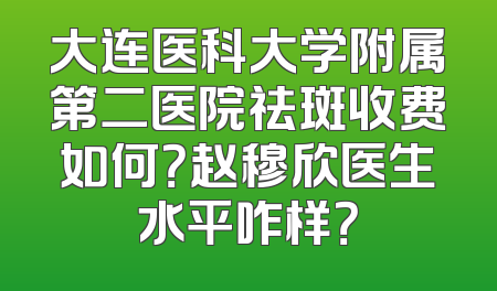 大连医科大学附属第二医院祛斑收费如何？赵穆欣医生水平咋样？