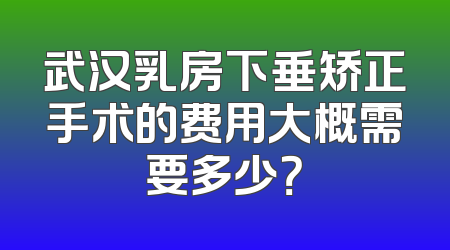 武汉乳房下垂矫正手术的费用大概需要多少？