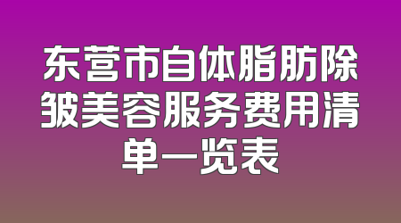 东营市自体脂肪除皱美容服务费用清单一览表