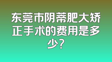 东莞市阴蒂肥大矫正手术的费用是多少？