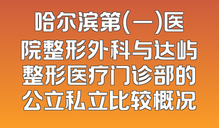 哈尔滨第（一）医院整形外科与达屿整形医疗门诊部的公立私立比较概况